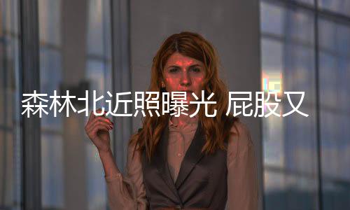 真的森林是太普通了