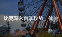 比克深入夏季攻势	，仙桃市场开门红