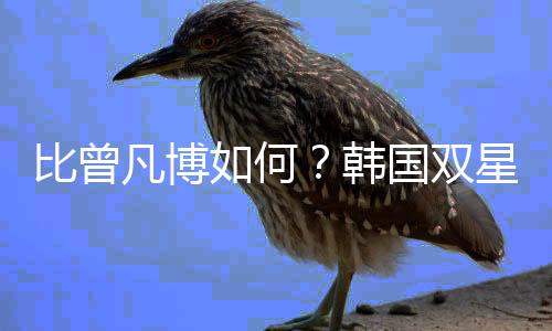 日本但小曾现在还在恢复伤病