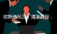欧斯迪吊顶丨清凉夏日，年“粽”大礼惊喜来袭