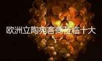欧洲立陶宛客商莅临十大品牌鼎立达板材厂区考察