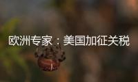 欧洲专家：美国加征关税将伤及自身 贸易战没有赢家