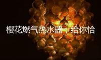 樱花燃气热水器，给你恰到好处的沐浴体验