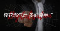 快排公司十年历程，霸屏兔 seo 的崛起与坚守