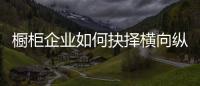 橱柜企业如何抉择横向纵向发展？