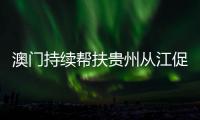 快排公司十年历程，霸屏兔 seo 的崛起与坚守