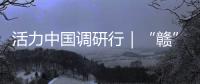 活力中国调研行｜“赣”出美丽
！这里的乡村景美民富