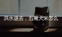 洪水退去�，五常大米怎么样了？