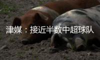 快排公司十年历程，霸屏兔 seo 的崛起与坚守