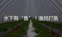 水下有“鱼”
！渔民打鱼捞获不明物体 竟是境外间谍窃密装置