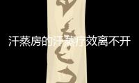 汗蒸房的汗蒸疗效离不开负离子