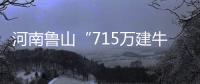 河南鲁山“715万建牛郎织女雕塑”调查两年仍无结论	？市纪检委：还在调查	，涉及保密