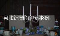 河北新增确诊病例8例：石家庄市4例、辛集市4例