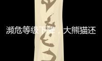 濒危等级下降，大熊猫还需要保护吗？
