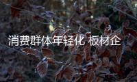 消费群体年轻化 板材企业需升级产品