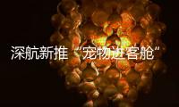 深航新推“宠物进客舱”服务�
，旅客可携“毛孩子”一同乘机啦！
