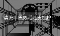 快排公司十年历程，霸屏兔 seo 的崛起与坚守