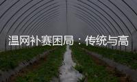 温网补赛困局：传统与高温下的赛程危机