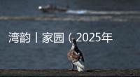 湾韵丨家园（2025年3月21日）