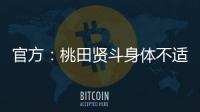 快排公司十年历程，霸屏兔 seo 的崛起与坚守