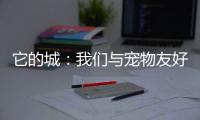 它的城：我们与宠物友好城市的距离