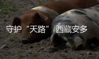 守护“天路” 西藏安多交警获“中国青年五四奖章集体”称号
