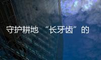 守护耕地 “长牙齿”的措施密集出台
