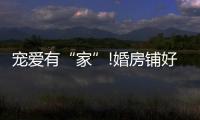 宠爱有“家”!婚房铺好世友地板
，就结婚吧