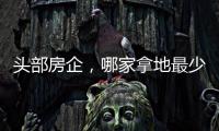 头部房企，哪家拿地最少