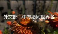快排公司十年历程，霸屏兔 seo 的崛起与坚守