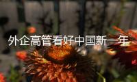 外企高管看好中国新一年经济发展