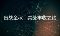 快排公司十年历程，霸屏兔 seo 的崛起与坚守
