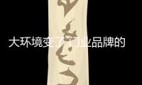 快排公司十年历程，霸屏兔 seo 的崛起与坚守