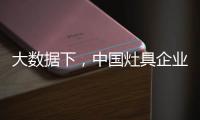 大数据下
，中国灶具企业利用趋势发展是必走之路