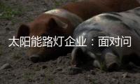 快排公司十年历程，霸屏兔 seo 的崛起与坚守