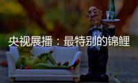 央视展播：最特别的锦鲤——佳得福金门窗