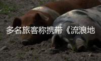 快排公司十年历程，霸屏兔 seo 的崛起与坚守