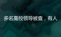 快排公司十年历程，霸屏兔 seo 的崛起与坚守