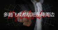 快排公司十年历程，霸屏兔 seo 的崛起与坚守