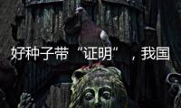 快排公司十年历程，霸屏兔 seo 的崛起与坚守