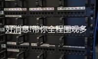 快排公司十年历程，霸屏兔 seo 的崛起与坚守