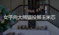 女子向大熊猫投掷玉米芯 成都熊猫谷通报：终生禁入