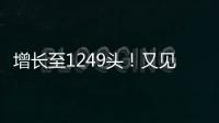 增长至1249头！又见“长江中的微笑”丨漫热点