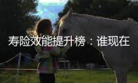 寿险效能提升榜：谁现在领先？谁拥有未来？