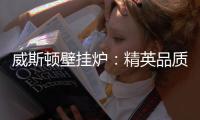 威斯顿壁挂炉：精英品质 温暖你我