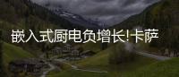 嵌入式厨电负增长!卡萨帝：唯一逆势增长份额创新高