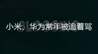 小米	、华为常年被追着骂？前魅族高管李楠撕了车圈的遮羞布！