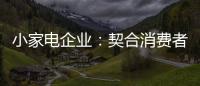 小家电企业：契合消费者需求 打造品牌消费