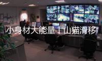 快排公司十年历程，霸屏兔 seo 的崛起与坚守
