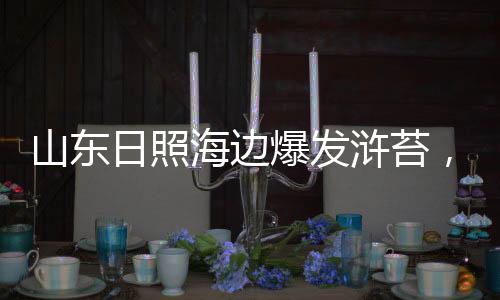 山东进入海阳市管辖海域